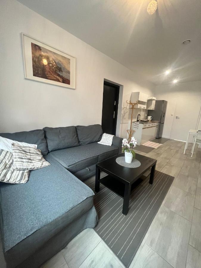 Apartament Wrzosowa Kudowa-Zdrój Esterno foto